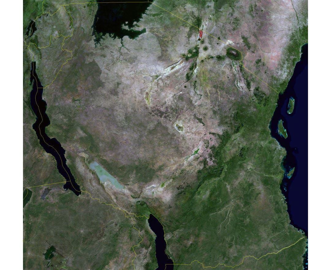 Peta satelit tanzania
